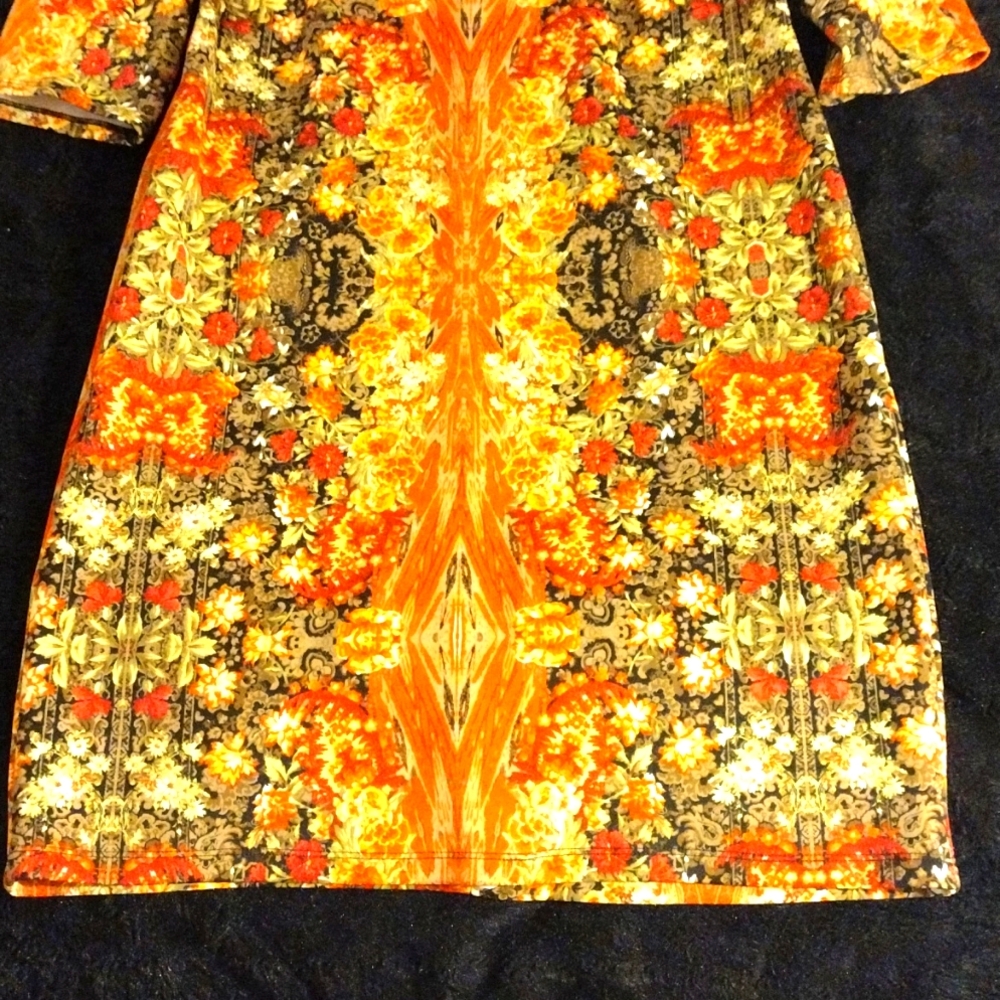 Fall Dress - Picture 3 of 4